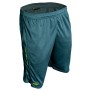 RidgeMonkey APEarel CoolTech Green Junior Shorts