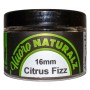 Rod Hutchinson Flouro Naturalz Fishing Wafters 16mm Citrus Fizz 2