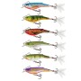 Salmo Rail Shad 6cm Sinking Lure