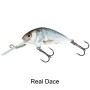 Salmo Hornet 4cm Floating Lure Real Dace