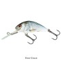 Salmo Hornet 5cm Floating Lure real dace