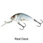 Salmo Hornet 6cm Sinking Lure Real Dace