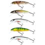 Salmo Minnow 6cm Floating Lure