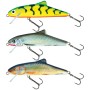 Salmo Skinner 10cm Floating Lure