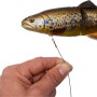 Savage Gear 4D Line Thru Trout Trace 1
