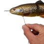 Savage Gear 4D Line Thru Trout Trace 2