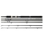 Shimano Beastmaster STC Shore Boat Rod