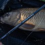 Shimano Forcemaster BX Commercial Float Rods In Use 5