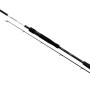 Shimano Vengeance CX Sea Bass Fishing Rod