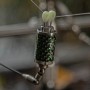 Solar Carbon Colours Fishing Indicator Head In Use 2