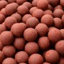 Solar The Original Red Herring Shelf Life Boilies Close Up