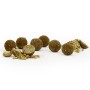 Sticky Manilla Active Freezer Boilies 1