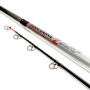 Team Daiwa Z Surf Rod