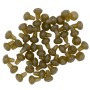 Trakker Hook Beads