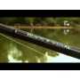 Daiwa Black Widow Carp Rod