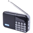 Powapacs DAB+ FM Radio