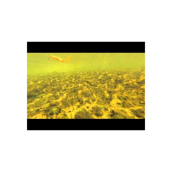 SPRO Bony Shaker 80, 95 and 140