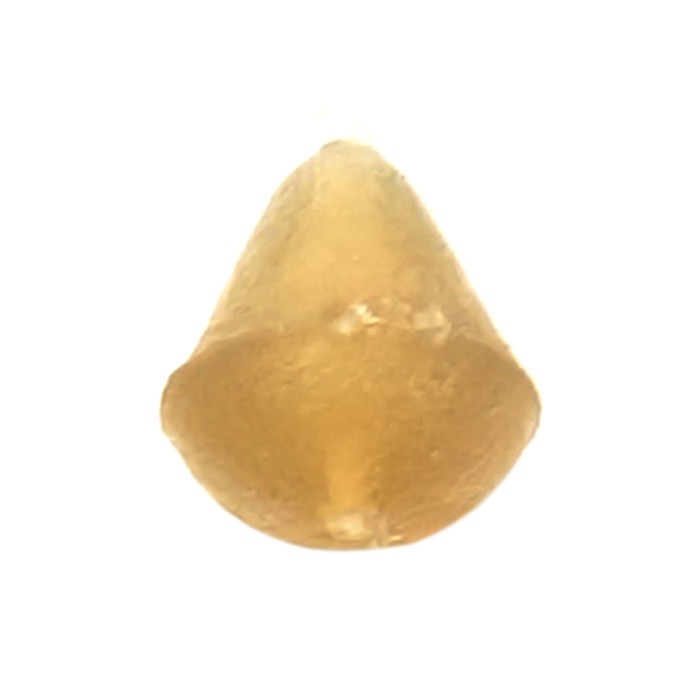 Fox Edges Fishing Hook Bead