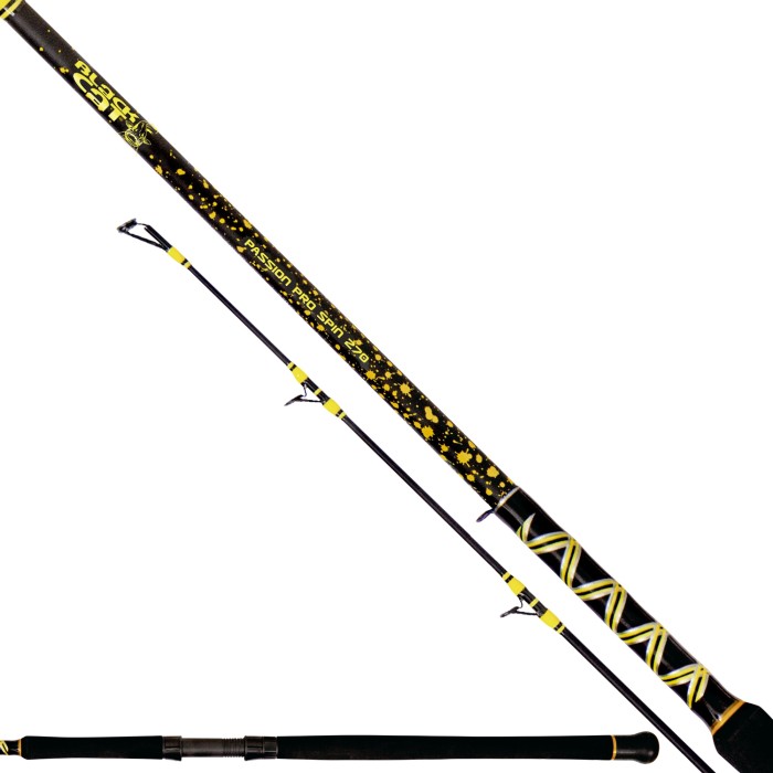 Black Cat Passion Pro DX Spin Rod