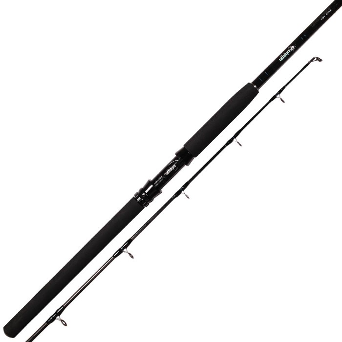 Catfish Pro Persuader Rod