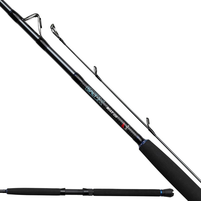DAM Salt-X Boat Rod