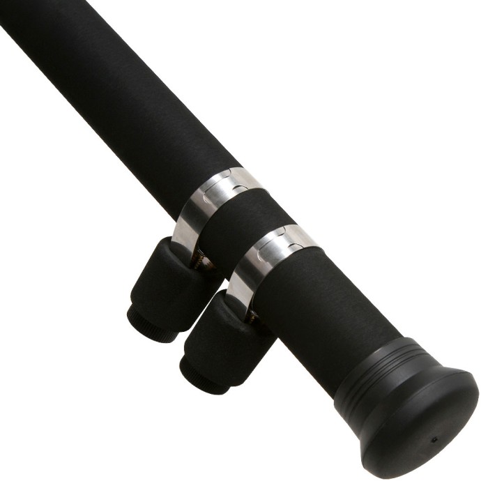 Daiwa Sandstorm Beach Rod 2