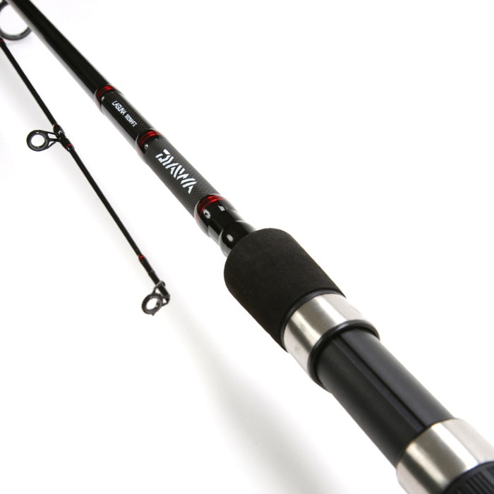 Daiwa Laguna Spinning Rod 1