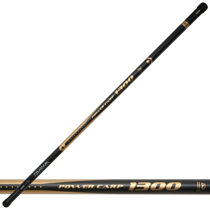 Daiwa Power Carp 13m Pole Package