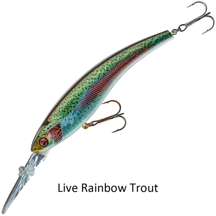 Daiwa Prorex Diving Minnow DR Lure Live Rainbow Trout