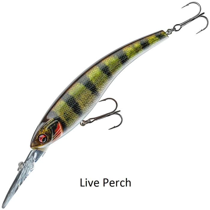 Daiwa Prorex Diving Minnow DR Lure Live Perch