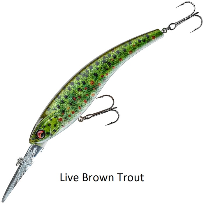 Daiwa Prorex Diving Minnow DR Lure Live Brown Trout