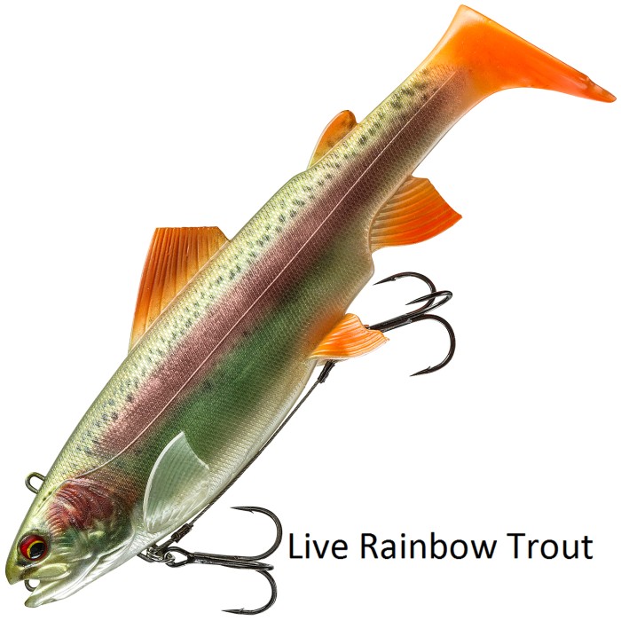 Daiwa Prorex Live Trout Swimbait DF Lure Live Rainbow Trout