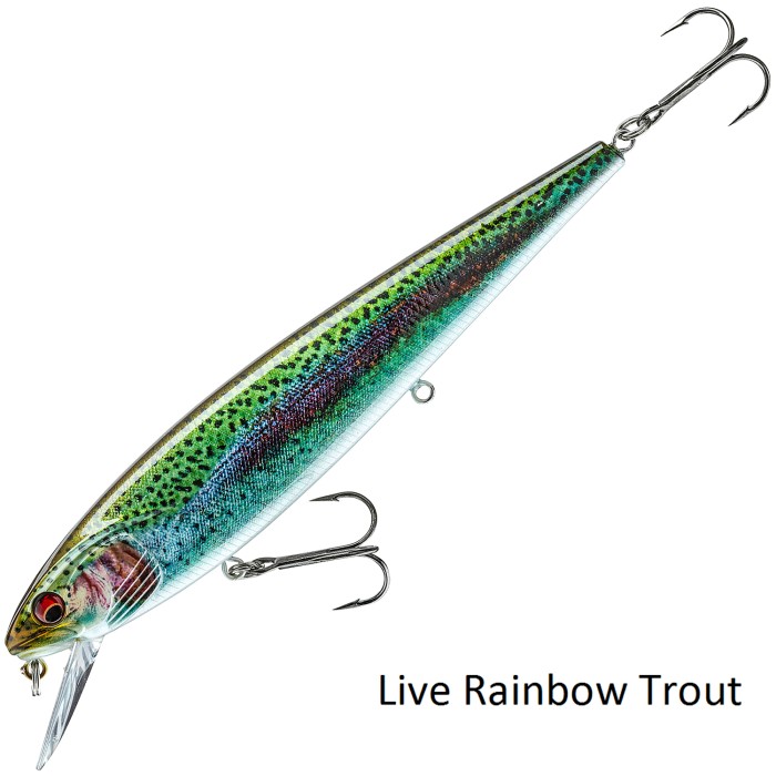 Daiwa Prorex Minnow SR Lure Live Rainbow Trout