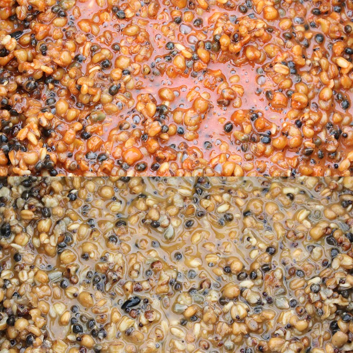 Dynamite Premium Spod Mixes