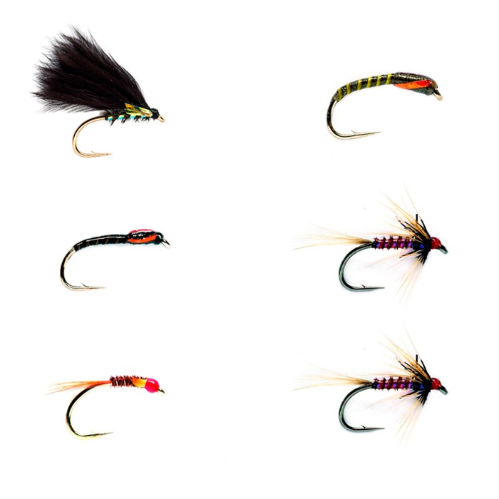 Fulling Mill Lake Selection 2 Flies