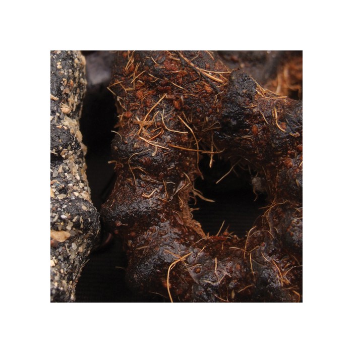 Gardner Grappler Leads Chod 1