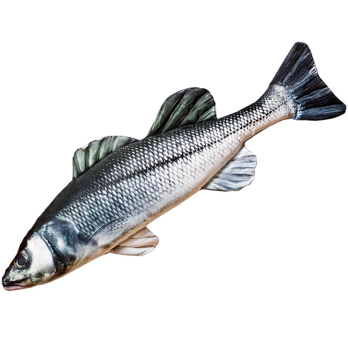 Gaby Fish Pillows The European Sea Bass