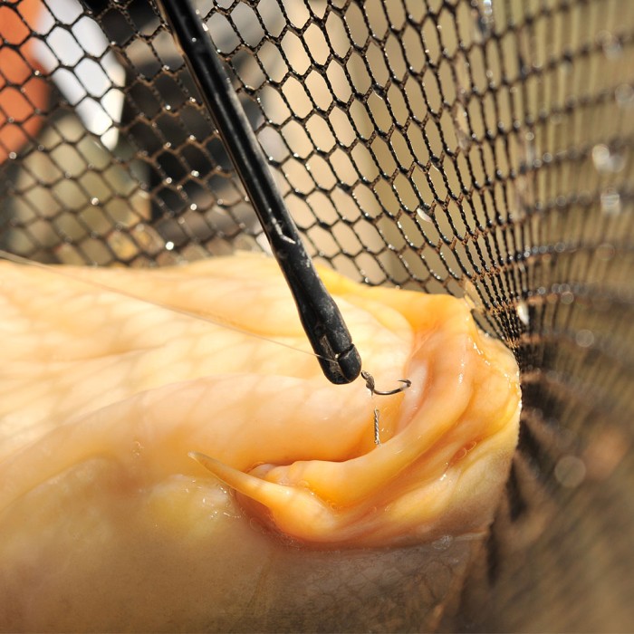 Guru Conti Fishing Disgorger In Use 1