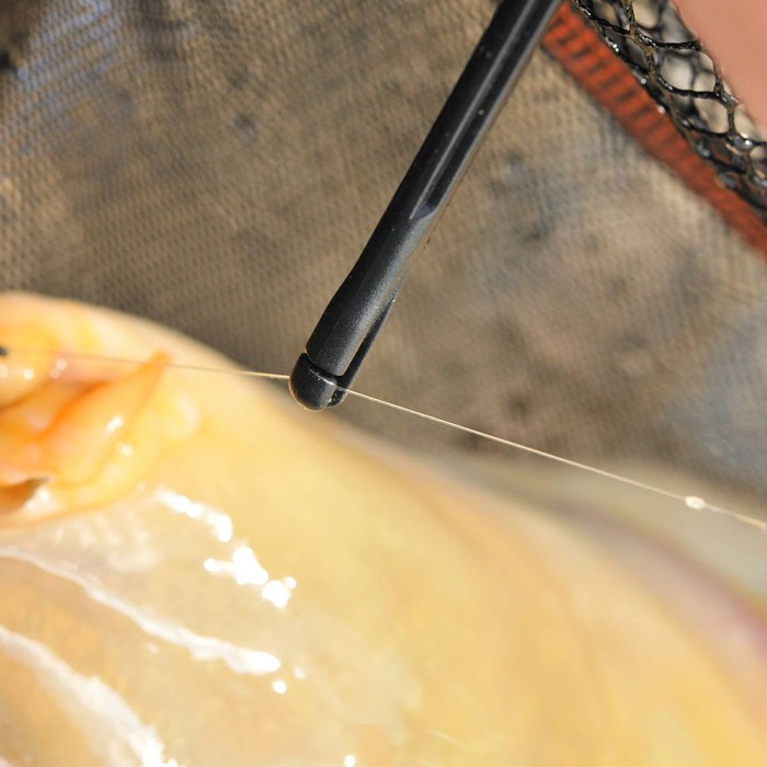 Guru Conti Fishing Disgorger In Use 2