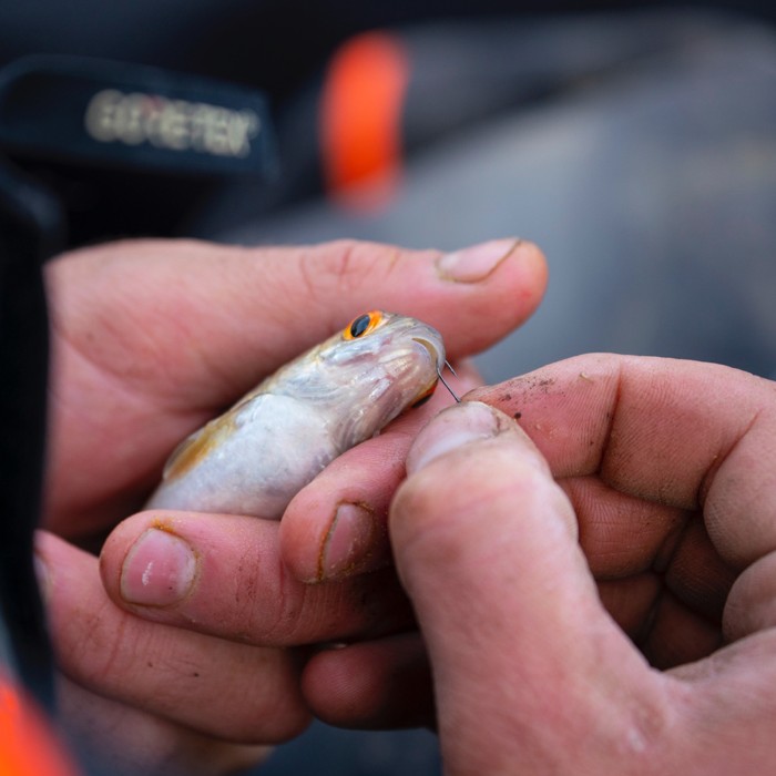 Guru Pole Special Ready Rigs In Use