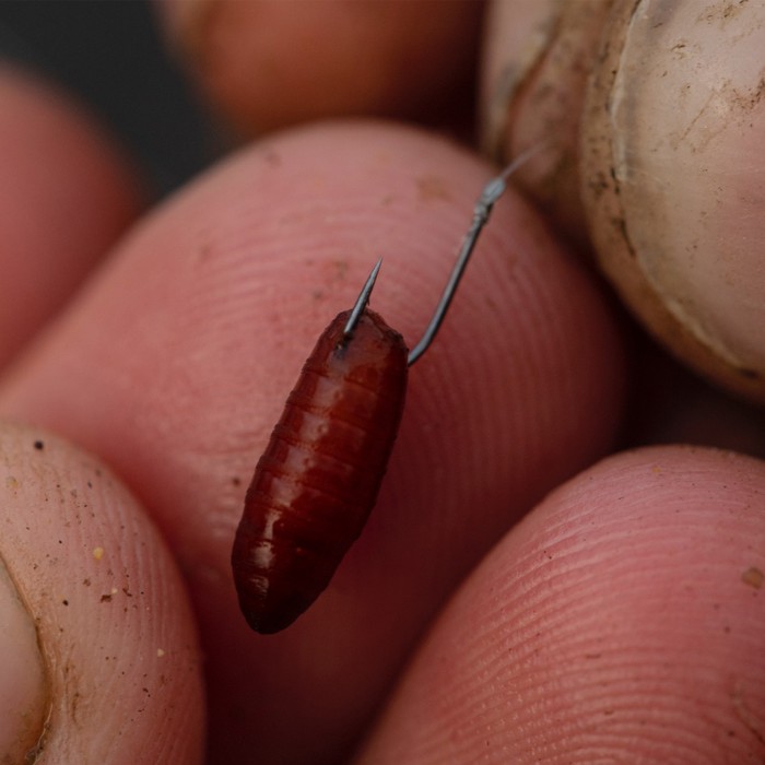 Guru Pole Special Ready Rigs In Use 2