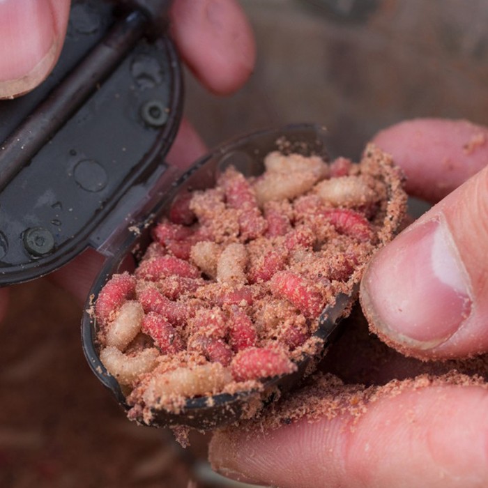 Korum Swivel Grub Feeders using Live Bait