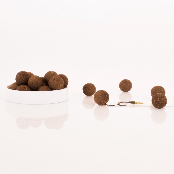 Nash Key Cray Hard Ons 2