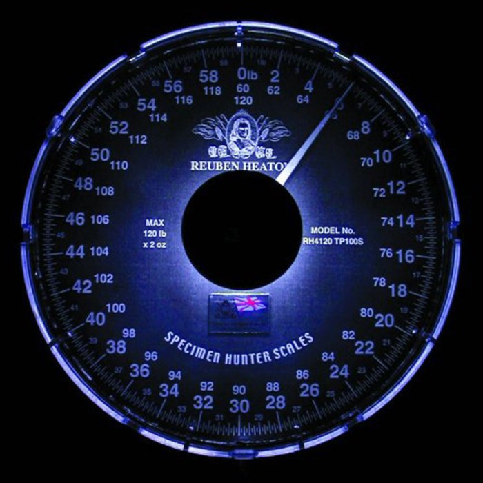 Reuben Heaton Scale Light  In Use
