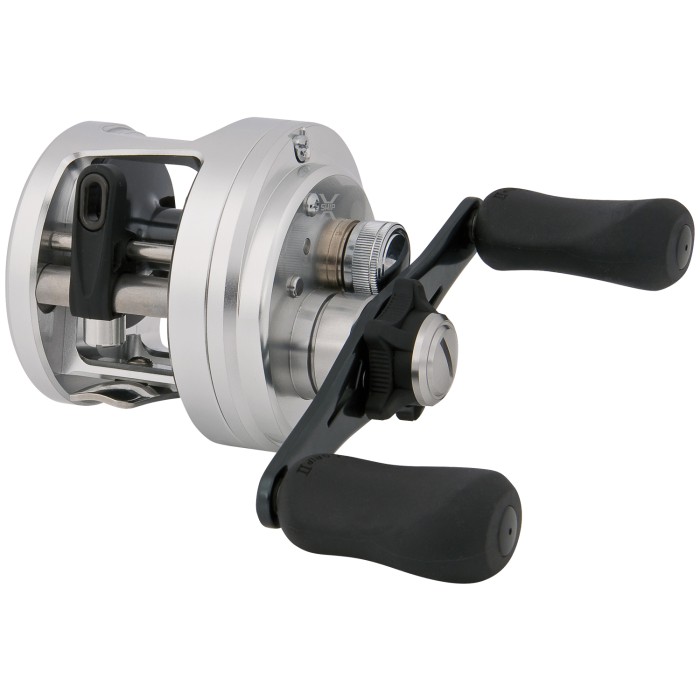 Shimano Calcutta D Reel