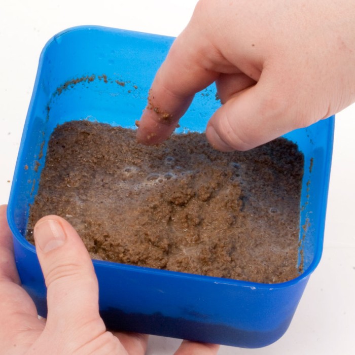 SonuBaits One to One Paste in tub