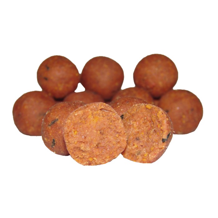 CC Moore Equinox Shelf Life Boilie