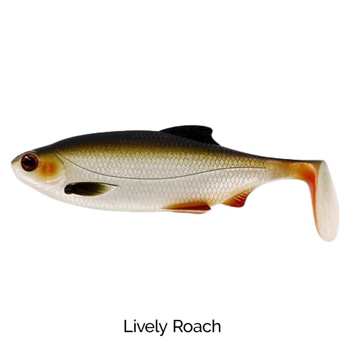 Lively Roach