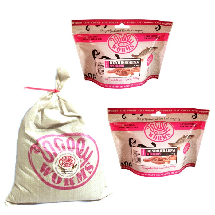 Willy Worms Medium Dendrobaenas