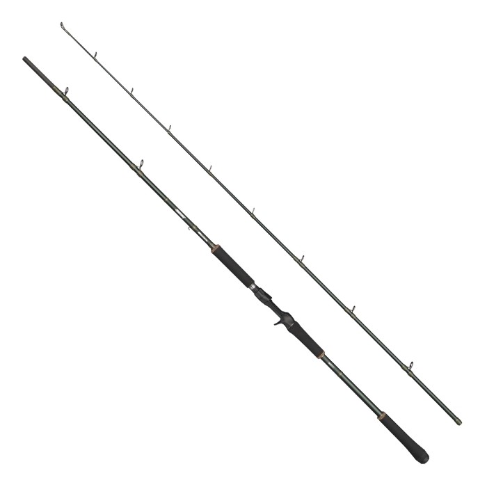 Abu Garcia Beast X2 Casting Rod